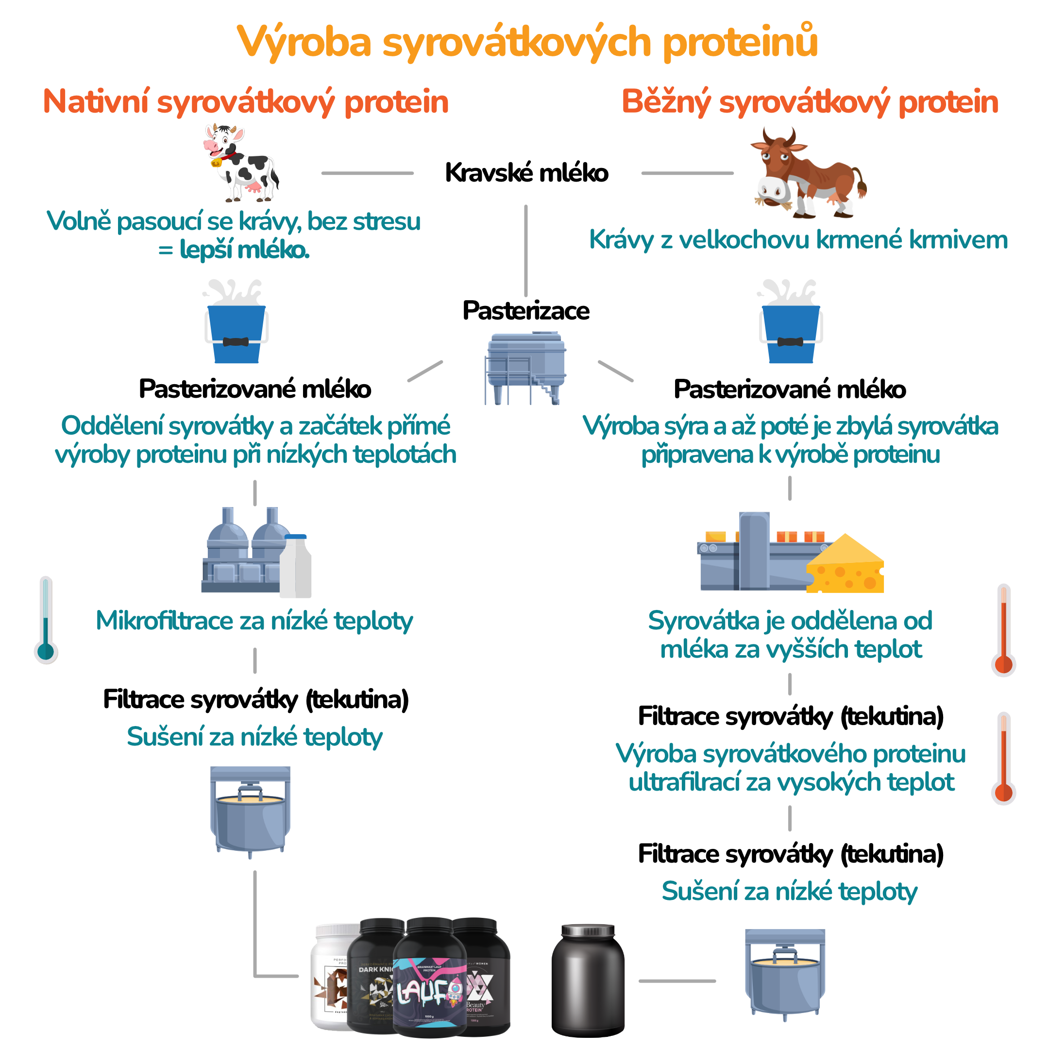 Vyroba proteinu_bez pozadi_cz